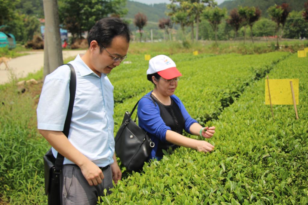 教师进农户，理论下基层——PG国际全体党员教师赴英山县乌云山村学习调研